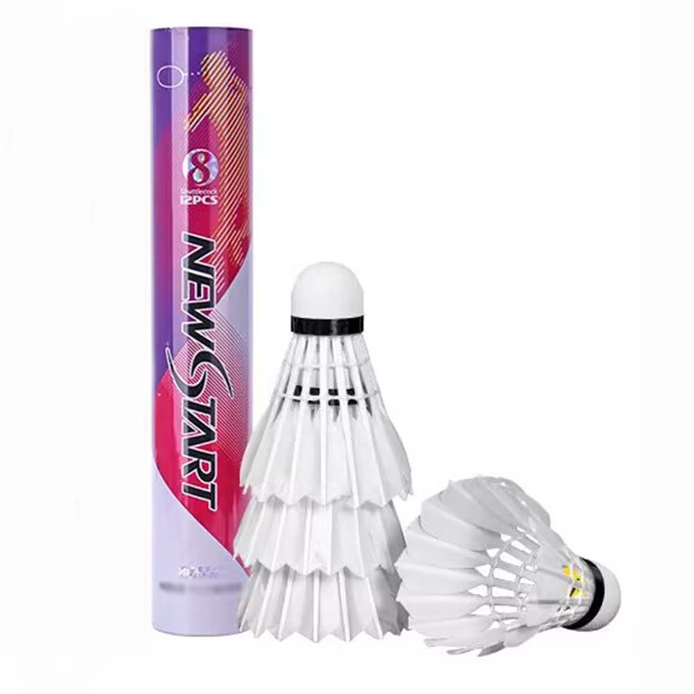 Dollcini Tollaslabda Szett – Prémium és Standard, 12 db-os Csomag